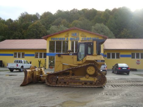 cat_d6m.jpg